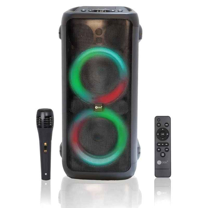 Afra Party Speaker 100W with Karaoke Mic USB Charging 8 Inch Woofer Guitar Input AF-100PSBK