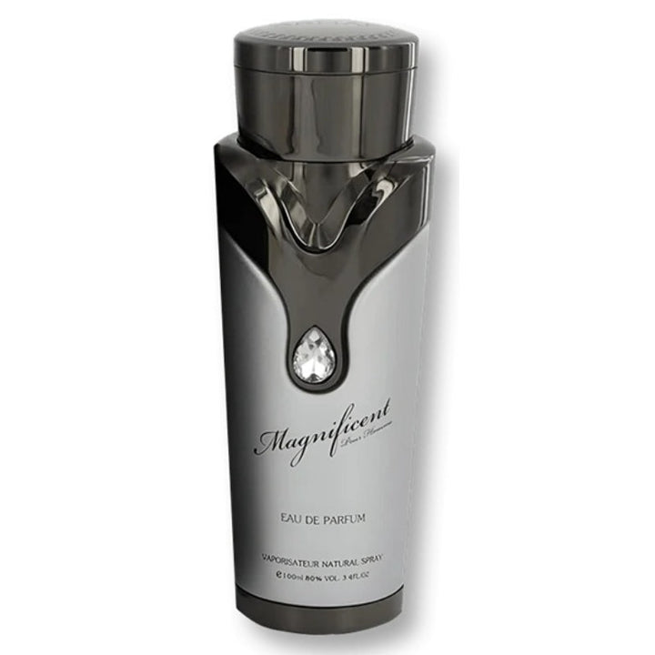 Armaf Magnificient Homme for Men EDP 100ml AM108941 - Salman Stores