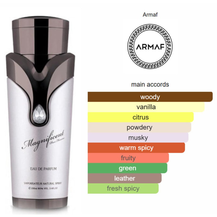Armaf Magnificient Homme for Men EDP 100ml AM108941 - Salman Stores
