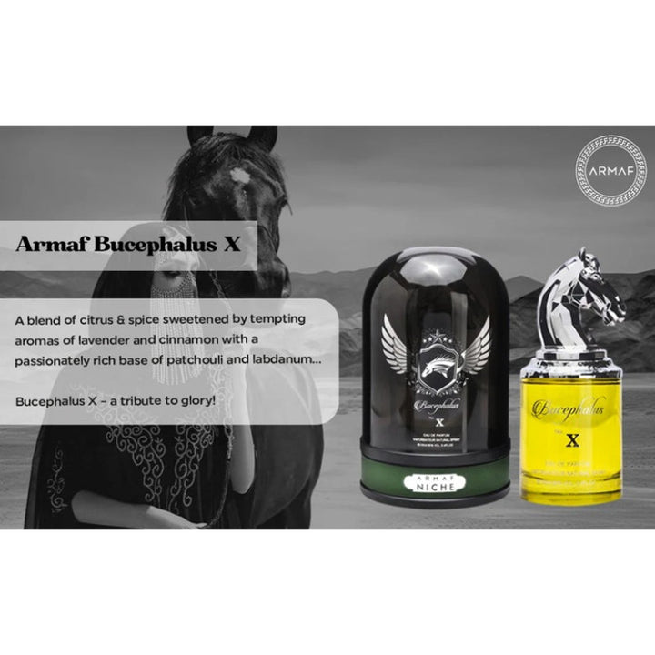Armaf Niche Bucephalus X for Men EDP 100ml AM118858 - Salman Stores