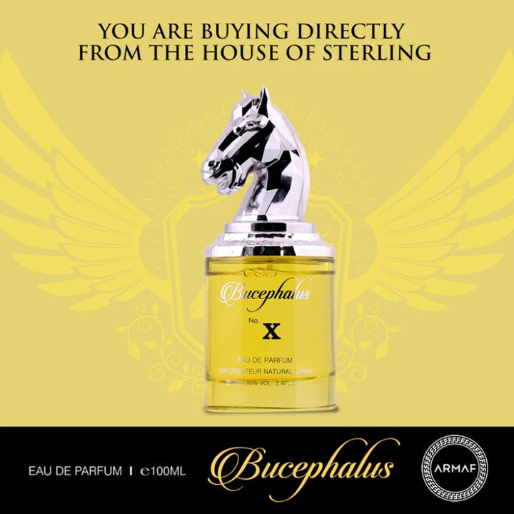 Armaf Niche Bucephalus X for Men EDP 100ml AM118858 - Salman Stores
