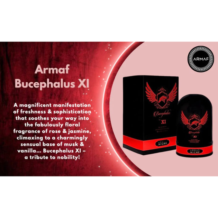 Armaf Niche Bucephalus XI for Men EDP 100ml AM118865 - Salman Stores
