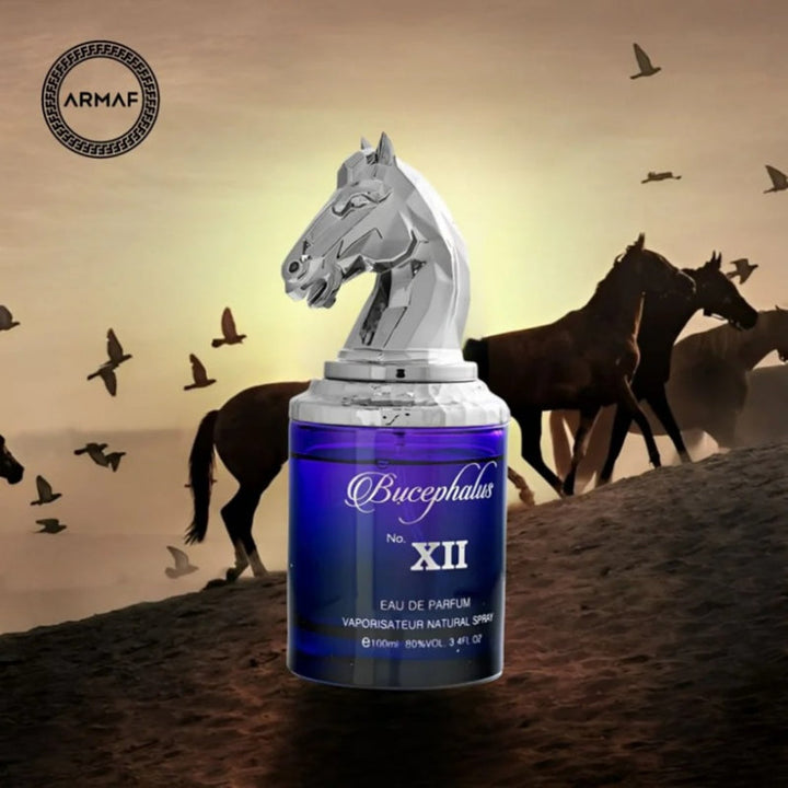 Armaf Niche Bucephalus XII for Men EDP 100ml AM159851 - Salman Stores