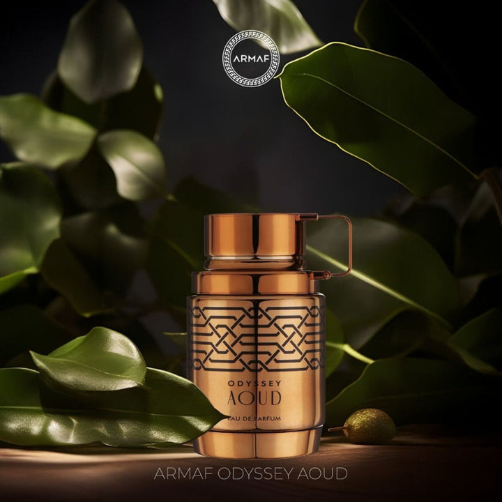 Armaf Odyssey Aoud for Men EDP 100ml AM166149 - Salman Stores
