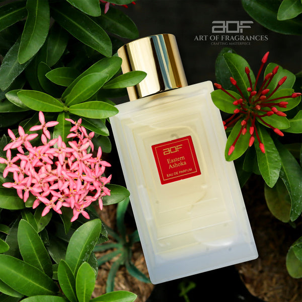 AOF Eastern Ashoka Men 100ML EDP - Salman Stores