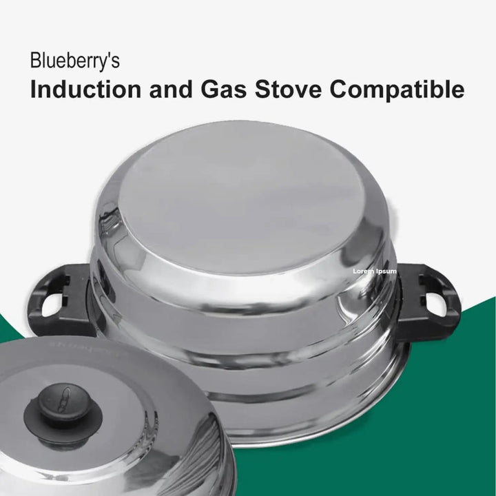 Blueberry’s Idli Cooker Stainless Steel 7 Plates 21 Idly - Salman Stores
