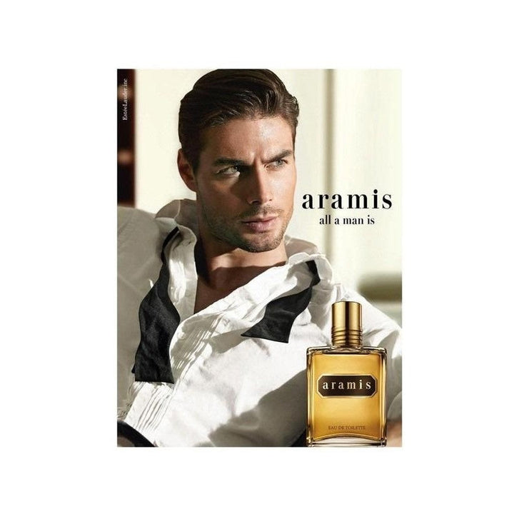 Aramis Brown for Men EDT 110 ml - Salman Stores