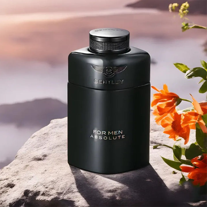 Bentley Absolute for Men EDT 100 ml DP508243 - Salman Stores