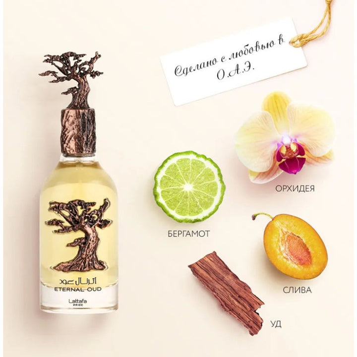 Lattafa Pride Eternal Oud EDP 100 ml DP738115 - Salman Stores