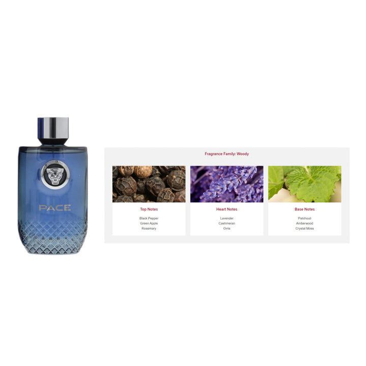 Jaguar Pace for Men EDT 100 ml - Salman Stores